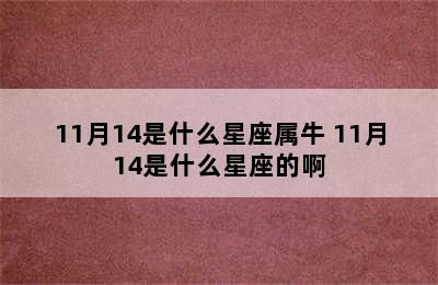 11月14是什么星座属牛 11月14是什么星座的啊